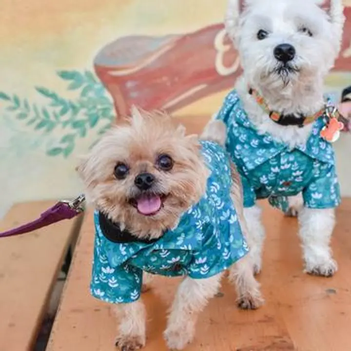 Meadow Green Dog T-Shirt 1