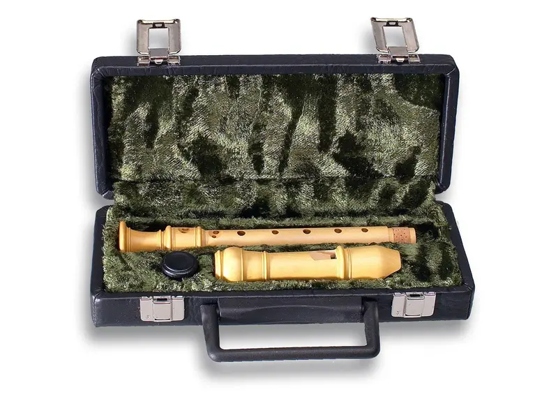 Mollenhauer Rigid Recorder Case With Faux Leather Exterior 1