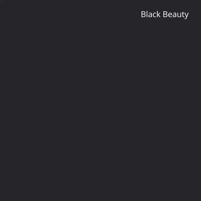 Sophisticated Solids Black Beauty Solid Fabric 1